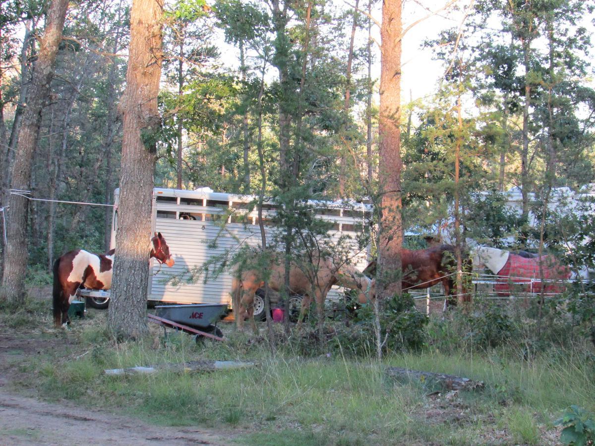 Best Bear Lodge & Campground Irons Buitenkant foto